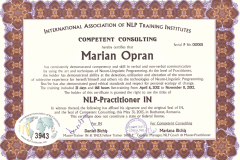 2012-NLP-Licensed-Practitioner-IN-Copy