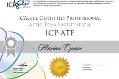 2020-Agile-Team-Facilitator-ICA